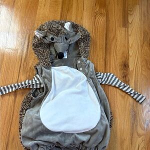 Adorable Hedgehog Costume for Kids